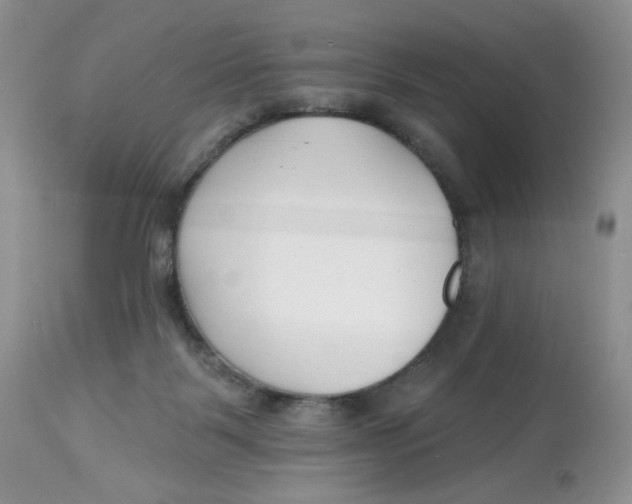 X0000112800123200909181545