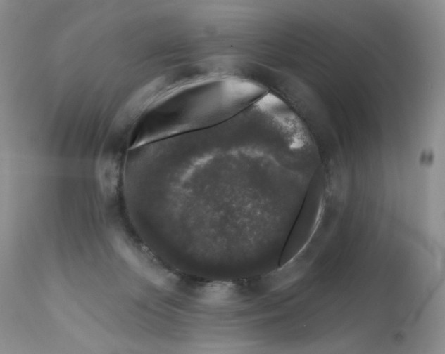 X0000112800124200909181545