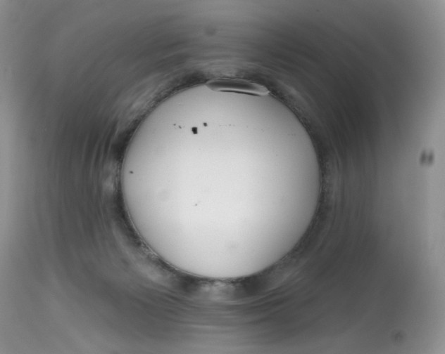 X0000112800125200909181545