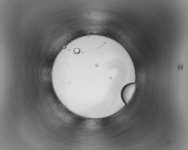 X0000112800126200909181545