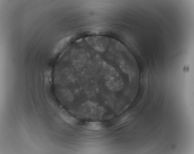 X0000112800127200909181545