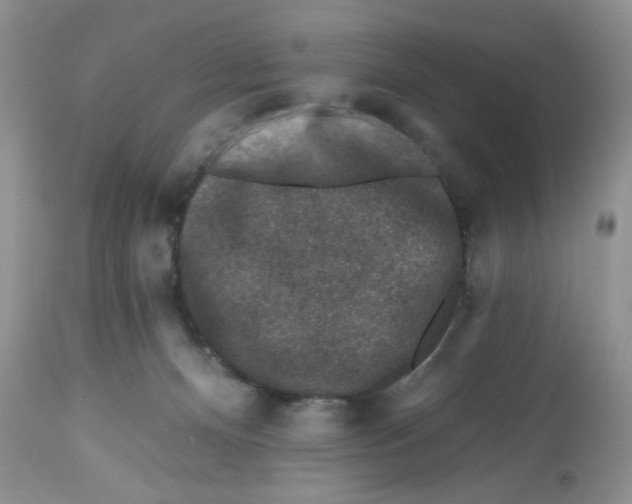 X0000112800128200909181545