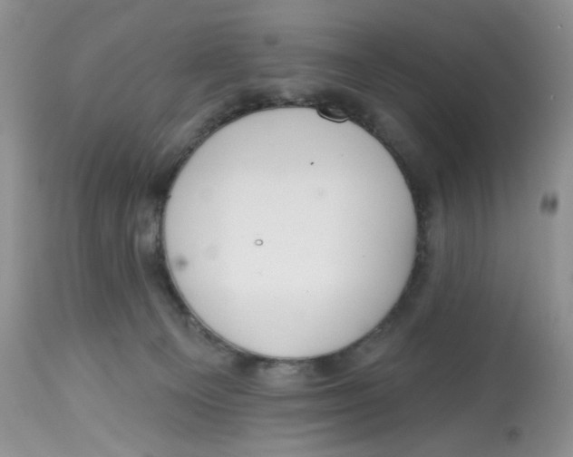 X0000112800129200909181545