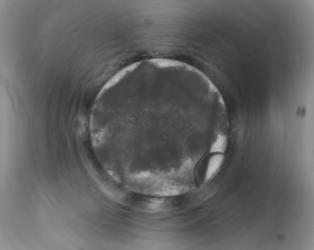 X0000112800130200909181545