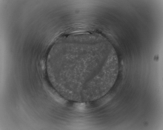 X0000112800131200909181545