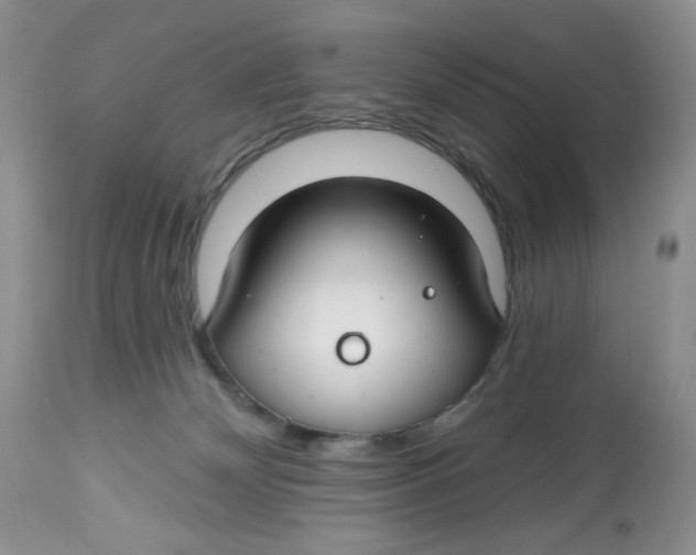 X0000112800132200909181545
