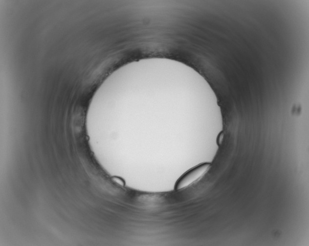 X0000112800133200909181545