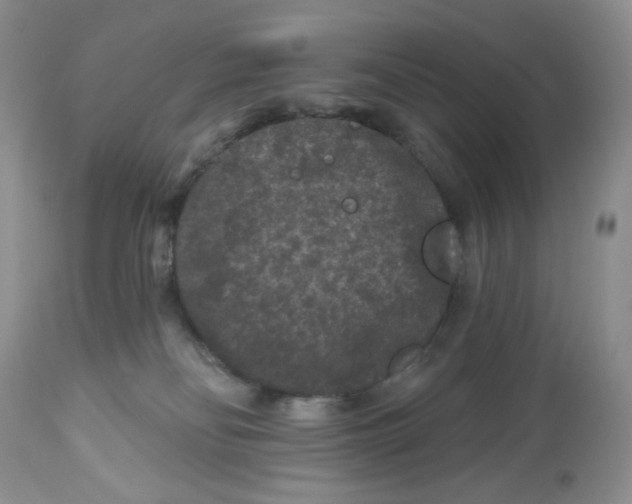 X0000112800134200909181545