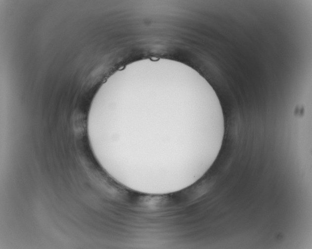X0000112800135200909181545