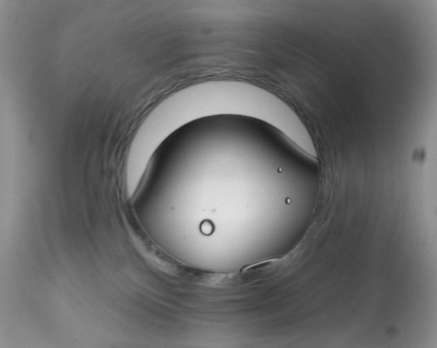 X0000112800136200909181545