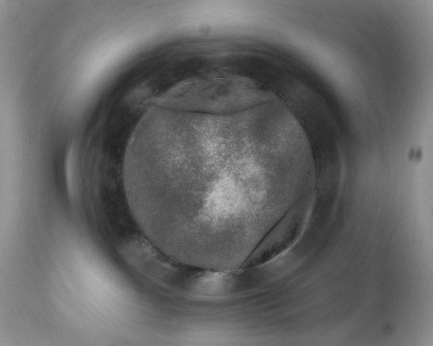X0000112800140200909181545