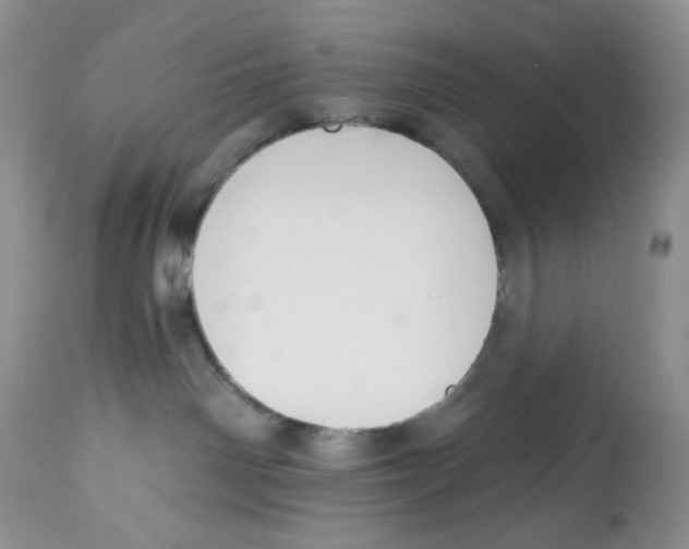X0000112800142200909181545
