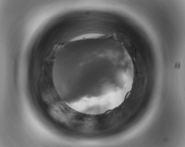 X0000112800143200909181545
