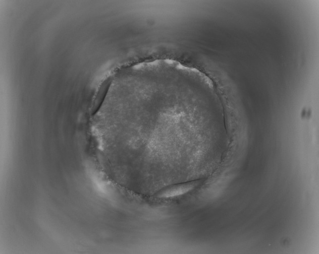 X0000112800144200909181545