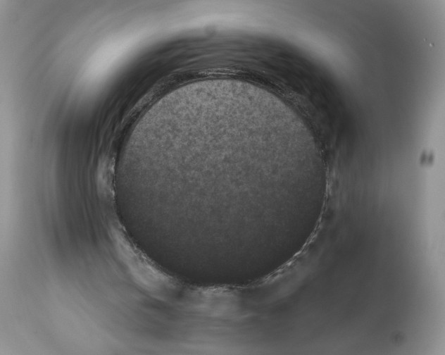 X0000112800146200909181544