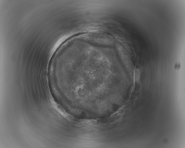 X0000112800147200909181544