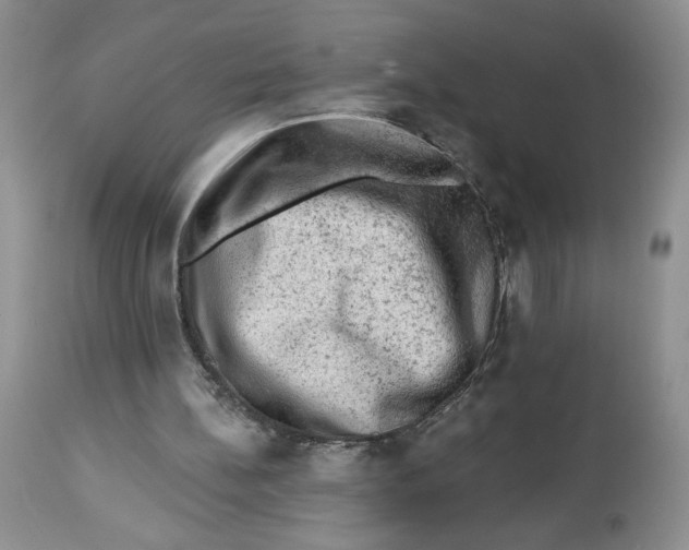 X0000112800148200909181544