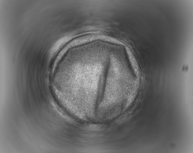 X0000112800149200909181544