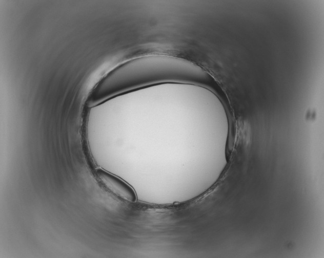X0000112800150200909181544