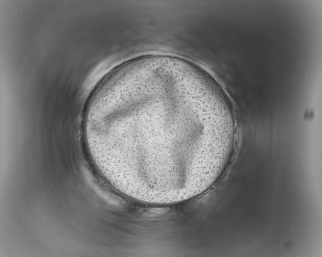 X0000112800151200909181544
