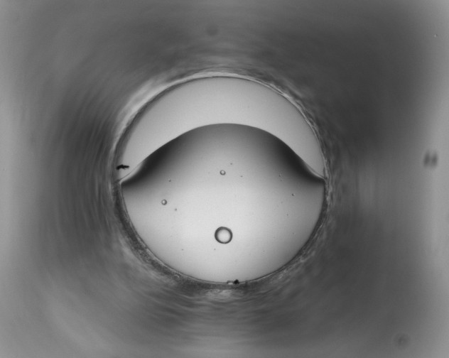 X0000112800152200909181544