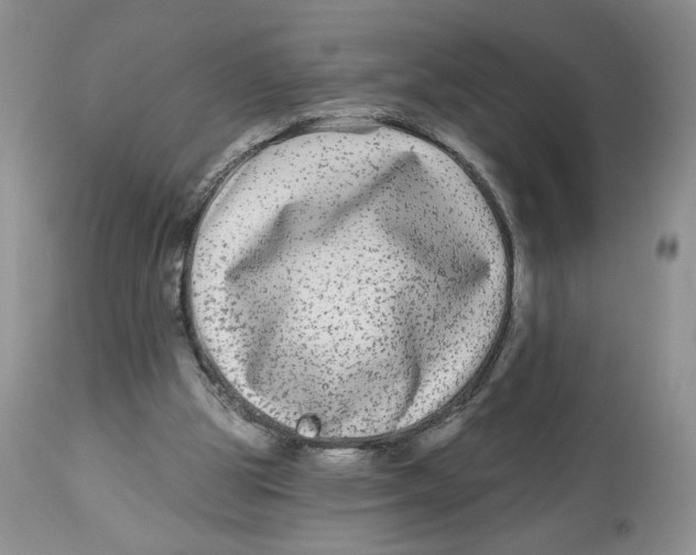 X0000112800153200909181544