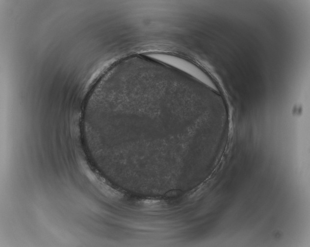 X0000112800154200909181544