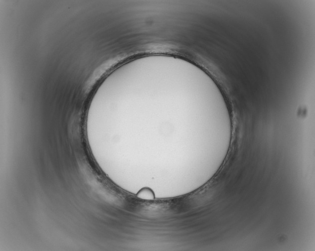 X0000112800155200909181544