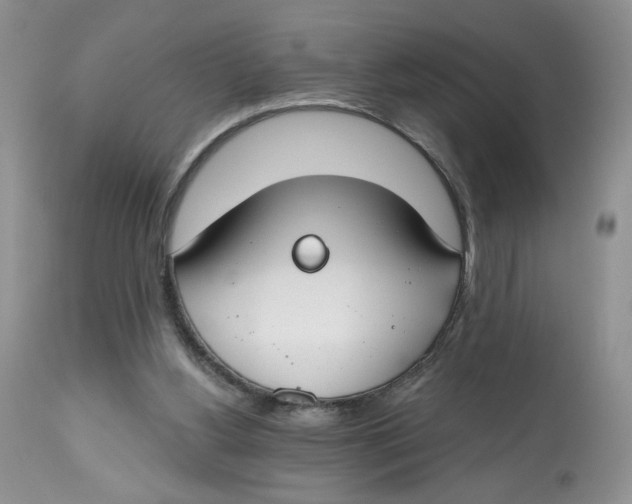 X0000112800156200909181544