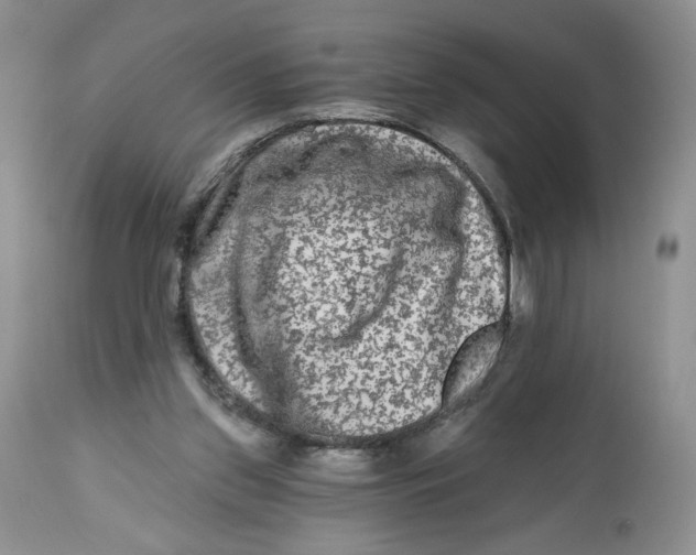 X0000112800157200909181544