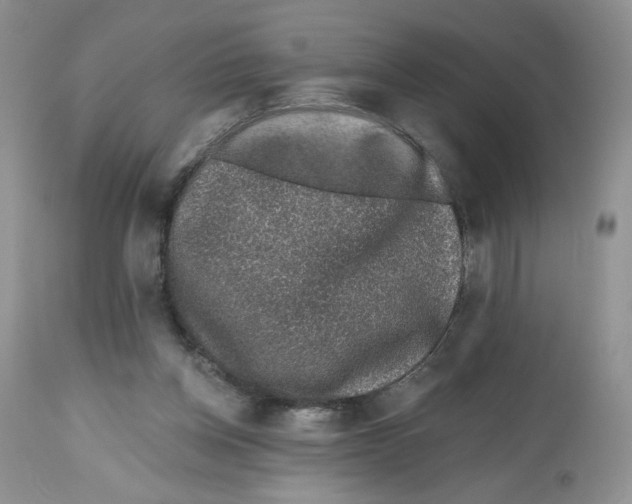 X0000112800158200909181544