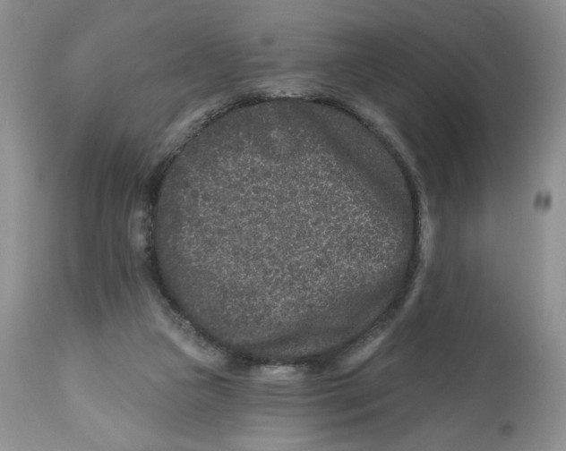 X0000112800161200909181544