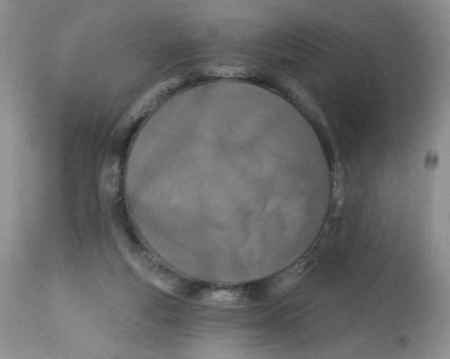 X0000112800163200909181545