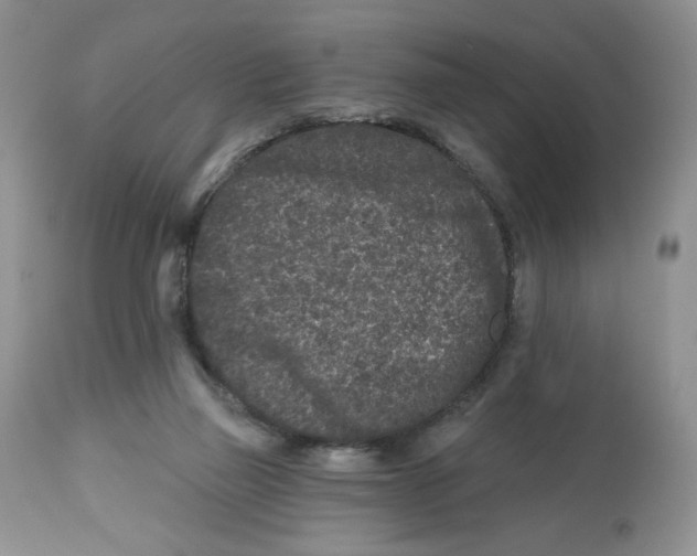X0000112800165200909181545