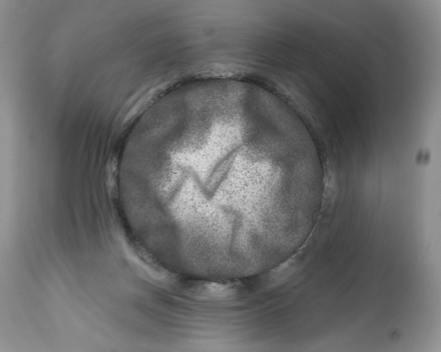 X0000112800166200909181545