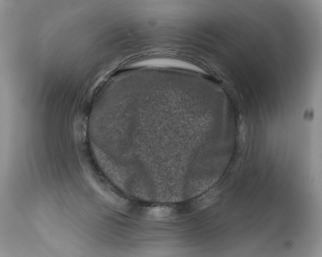 X0000112800168200909181545