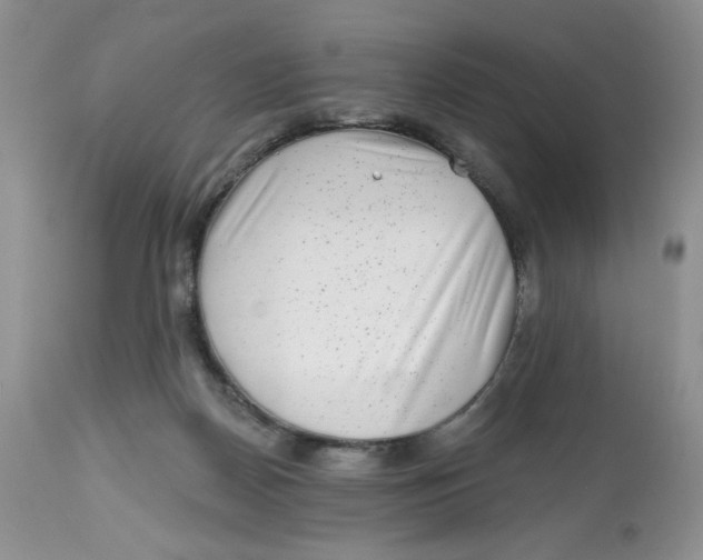 X0000112800170200909181545