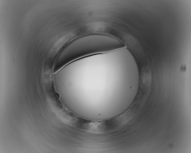 X0000112800172200909181545
