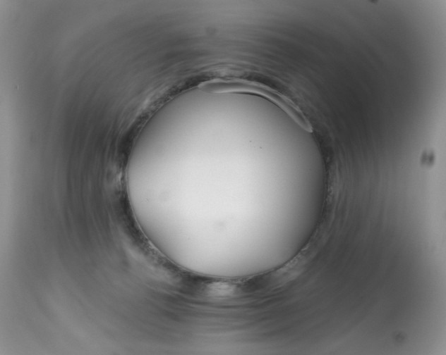 X0000112800176200909181545