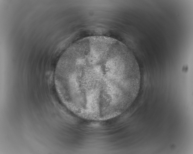 X0000112800177200909181545