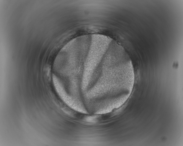 X0000112800178200909181545