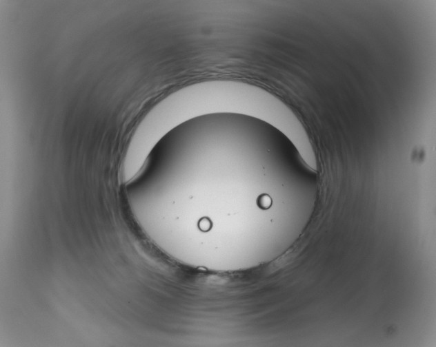 X0000112800180200909181545