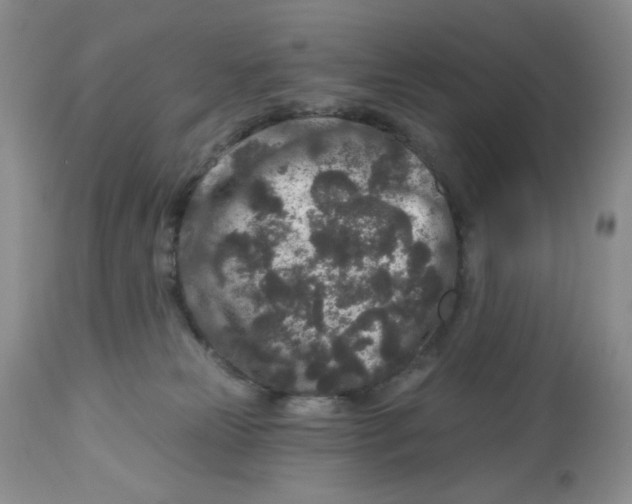 X0000112800181200909181545