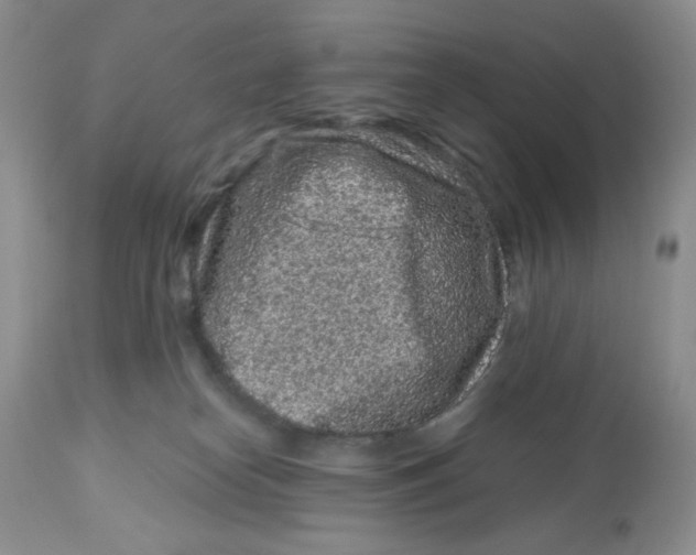 X0000112800182200909181545