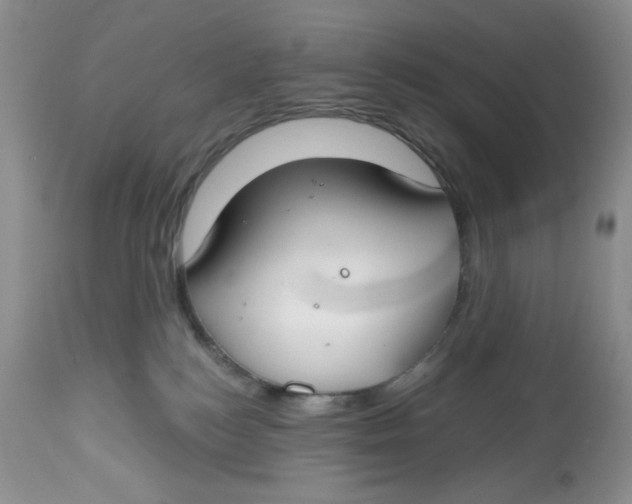 X0000112800184200909181545