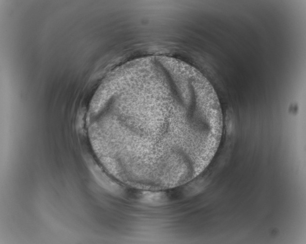 X0000112800185200909181545