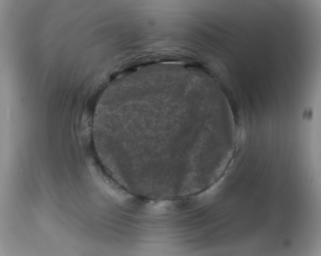 X0000112800186200909181545