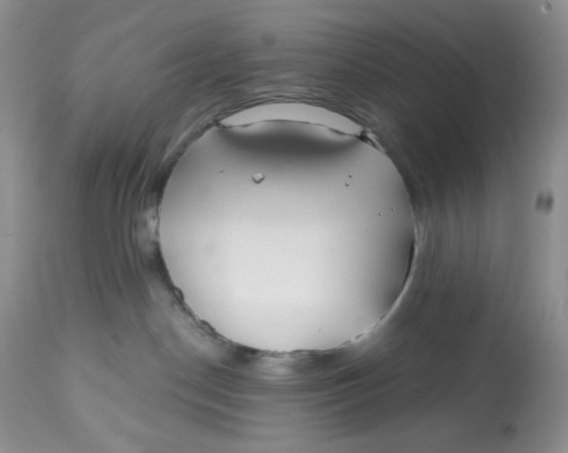 X0000112800190200909181545