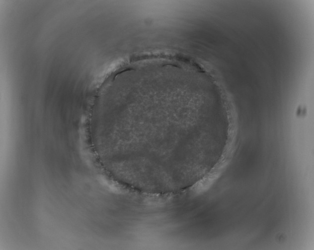 X0000112800192200909181545