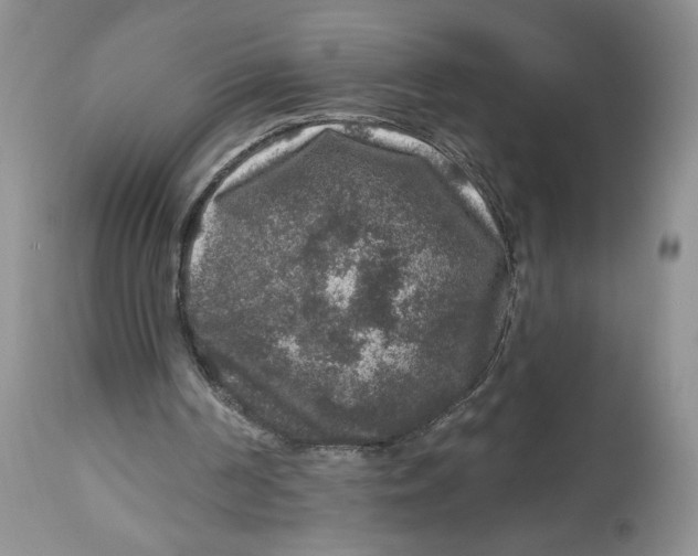 X0000112800194200909181544